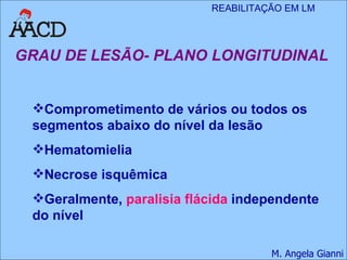 GRAU DE LESÃO- PLANO LONGITUDINAL Comprometimento de vários ou todos os segmentos abaixo do nível da lesão Hematomielia Necrose isquêmica Geralmente,  paralisia flácida  independente do nível 
