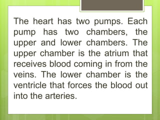 The heart has two pumps. Each
pump has two chambers, the
upper and lower chambers. The
upper chamber is the atrium that
receives blood coming in from the
veins. The lower chamber is the
ventricle that forces the blood out
into the arteries.
 