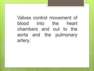 Valves control movement of
blood into the heart
chambers and out to the
aorta and the pulmonary
artery.
 