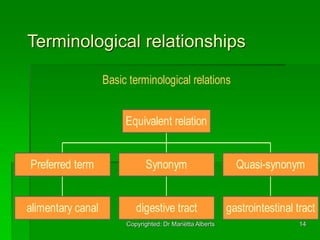 4_Lexicography_vs_terminology.ppt