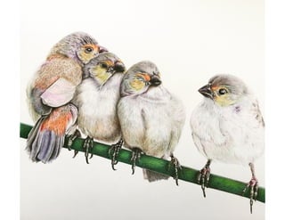 4 little birds