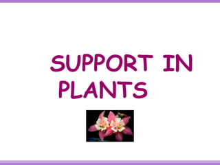 SUPPORT IN 
PLANTS 
 