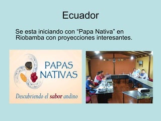 Ecuador
Se esta iniciando con “Papa Nativa” en
Riobamba con proyecciones interesantes.
 