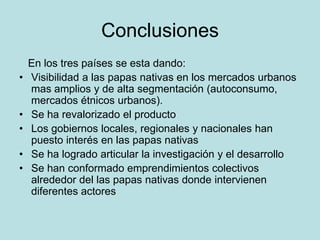Conclusiones
En los tres países se esta dando:
• Visibilidad a las papas nativas en los mercados urbanos
mas amplios y de alta segmentación (autoconsumo,
mercados étnicos urbanos).
• Se ha revalorizado el producto
• Los gobiernos locales, regionales y nacionales han
puesto interés en las papas nativas
• Se ha logrado articular la investigación y el desarrollo
• Se han conformado emprendimientos colectivos
alrededor del las papas nativas donde intervienen
diferentes actores
 