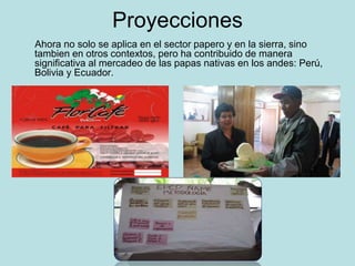 Contribución del EPCP al mercado de las papas nativas en los andes Slide 18