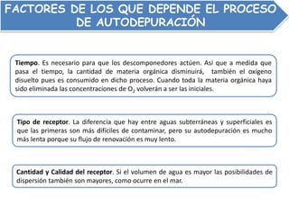 FACTORES DE LOS QUE DEPENDE EL PROCESO
DE AUTODEPURACIÓN
Tiempo. Es necesario para que los descomponedores actúen. Así que a medida que
pasa el tiempo, la cantidad de materia orgánica disminuirá, también el oxígeno
disuelto pues es consumido en dicho proceso. Cuando toda la materia orgánica haya
sido eliminada las concentraciones de O2 volverán a ser las iniciales.
Tipo de receptor. La diferencia que hay entre aguas subterráneas y superficiales es
que las primeras son más difíciles de contaminar, pero su autodepuración es mucho
más lenta porque su flujo de renovación es muy lento.
Cantidad y Calidad del receptor. Si el volumen de agua es mayor las posibilidades de
dispersión también son mayores, como ocurre en el mar.
 