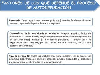 FACTORES DE LOS QUE DEPENDE EL PROCESO
DE AUTODEPURACIÓN
Característica de la zona donde se localiza el receptor acuático. Índice de
pluviosidad (si llueve mucho, mayor caudal y mayor renovación y dispersión de
los contaminantes). Relieve (si hay fuerte pendiente, la dispersión y la
oxigenación serán mayores; por esto un río de alta montaña, nunca suele
aparecer contaminado)
Tipo de vertido. No todos los vertidos son biodegradables. Las sustancias no
orgánicas biodegradables (metales pesados, algunos plaguicidas y pesticidas,
etc.) no podrán ser eliminadas en la autodepuración.
Biocenosis. Tienen que haber microorganismos (bacterias fundamentalmente)
que sean capaces de degradar la materia orgánica.
 