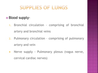  Blood supply-
1. Bronchial circulation – comprising of bronchial
artery and bronchial veins
2. Pulmonary circulation – comprising of pulmonary
artery and vein
 Nerve supply - Pulmonary plexus (vagus nerve,
cervical cardiac nerves)
 