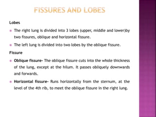 Lobes
 The right lung is divided into 3 lobes (upper, middle and lower)by
two fissures, oblique and horizontal fissure.
 The left lung is divided into two lobes by the oblique fissure.
Fissure
 Oblique fissure- The oblique fissure cuts into the whole thickness
of the lung, except at the hilum. It passes obliquely downwards
and forwards.
 Horizontal fissure- Runs horizontally from the sternum, at the
level of the 4th rib, to meet the oblique fissure in the right lung.
 