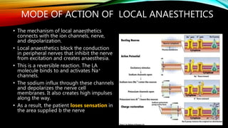 How Local Anesthesia Works Local Anaesthesia in dentistry (Perio) | PPTX