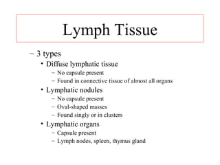 Lymphatic system | PPT