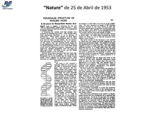 “Nature” de 25 de Abril de 1953
 