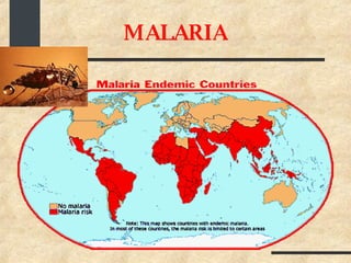 MALARIA 