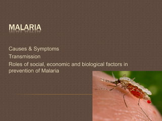 MALARIA
Causes & Symptoms
Transmission
Roles of social, economic and biological factors in
prevention of Malaria
 