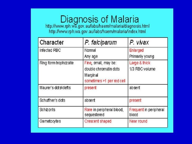 4 Malaria Diagnosis