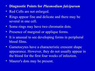 • Diagnostic Points for Plasmodium falciparum
• Red Cells are not enlarged.
• Rings appear fine and delicate and there may be
several in one cell.
• Some rings may have two chromatin dots.
• Presence of marginal or applique forms.
• It is unusual to see developing forms in peripheral
blood films.
• Gametocytes have a characteristic crescent shape
appearance. However, they do not usually appear in
the blood for the first four weeks of infection.
• Maurer's dots may be present.
 