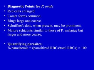 • Diagnostic Points for P. ovale
• Red cells enlarged.
• Comet forms common .
• Rings large and coarse.
• Schuffner's dots, when present, may be prominent.
• Mature schizonts similar to those of P. malariae but
larger and more coarse.
• Quantifying parasites:
% parasitemia = (parasitized RBCs/total RBCs) × 100
 