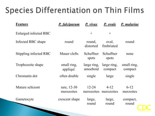 Feature P. falciparum P. vivax P. ovale P. malariae
Enlarged infected RBC + +
Infected RBC shape round round,
distorted
oval,
fimbriated
round
Stippling infected RBC Mauer clefts Schuffner
spots
Schuffner
spots
none
Trophozoite shape small ring,
appliqu
large ring,
amoeboid
large ring,
compact
small ring,
compact
Chromatin dot often double single large single
Mature schizont rare, 12-30
merozoites
12-24
merozoites
4-12
merozoites
6-12
merzoites
Gametocyte crescent shape large,
round
large,
round
compact,
round
 