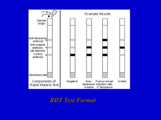 RDT Test Format
RDT Test Format
 