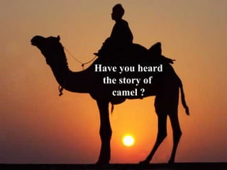 Have you heard 
the story of 
camel ? 
 