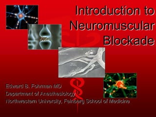 Introduction to
Neuromuscular
Blockade
Edward B. Fohrman MD
Department of Anesthesiology
Northwestern University, Feinberg School of Medicine
 