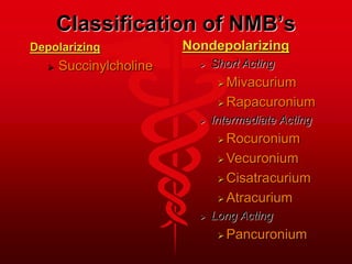 Classification of NMB’s
Depolarizing
 Succinylcholine
Nondepolarizing
 Short Acting
 Mivacurium
 Rapacuronium
 Intermediate Acting
 Rocuronium
 Vecuronium
 Cisatracurium
 Atracurium
 Long Acting
 Pancuronium
 