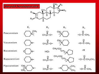 Steroidal Nondepolarizers
 