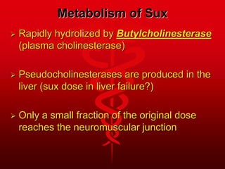 Metabolism of Sux
 Rapidly hydrolized by Butylcholinesterase
(plasma cholinesterase)
 Pseudocholinesterases are produced in the
liver (sux dose in liver failure?)
 Only a small fraction of the original dose
reaches the neuromuscular junction
 