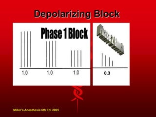 Depolarizing Block
0.3
Miller’s Anesthesia 6th Ed. 2005
 