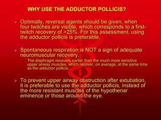  Optimally, reversal agents should be given, when
four twitches are visible, which corresponds to a first-
twitch recovery of >25%. For this assessment, using
the adductor pollicis is preferable.
 Spontaneous respiration is NOT a sign of adequate
neuromuscular recovery.
 The diaphragm recovers earlier than the much more sensitive
upper airway muscles, which recover, on average, at the same time
as the adductor pollicis.
 To prevent upper airway obstruction after extubation,
it is preferable to use the adductor pollicis, instead of
the more resistant muscles of the hypothenar
eminence or those around the eye.
WHY USE THE ADDUCTOR POLLICIS?
 