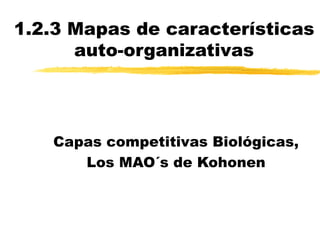 1.2.3 Mapas de características auto-organizativas Capas competitivas Biológicas, Los MAO´s de Kohonen 