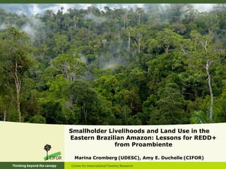 Smallholder Livelihoods and Land Use in the
Eastern Brazilian Amazon: Lessons for REDD+
              from Proambiente

 Marina Cromberg (UDESC), Amy E. Duchelle (CIFOR)
 