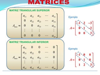 Matriz Diagonal Inferior 4 matrices | PPSX