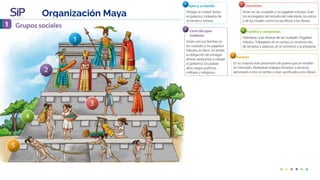 Organización Maya
 
