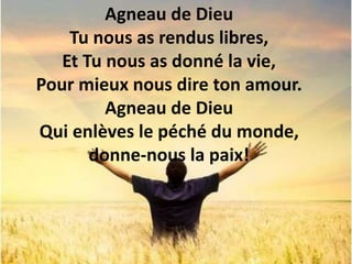Agneau de Dieu
Tu nous as rendus libres,
Et Tu nous as donné la vie,
Pour mieux nous dire ton amour.
Agneau de Dieu
Qui enlèves le péché du monde,
donne-nous la paix!
 