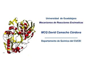Universidad de Guadalajara
Mecanismos de Reacciones Enzimaticas
MCQ David Camacho Córdova
__________________________
Departamento de Química del CUCEI
 