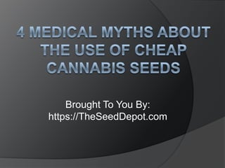 4 Medical Myths about the Use of Cheap Cannabis Seeds Brought To You By: https://TheSeedDepot.com 