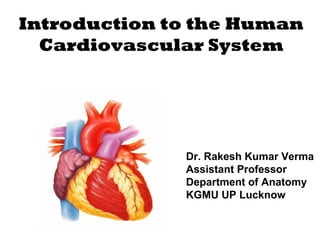 Introduction to the Human
Cardiovascular System
Dr. Rakesh Kumar Verma
Assistant Professor
Department of Anatomy
KGMU UP Lucknow
 