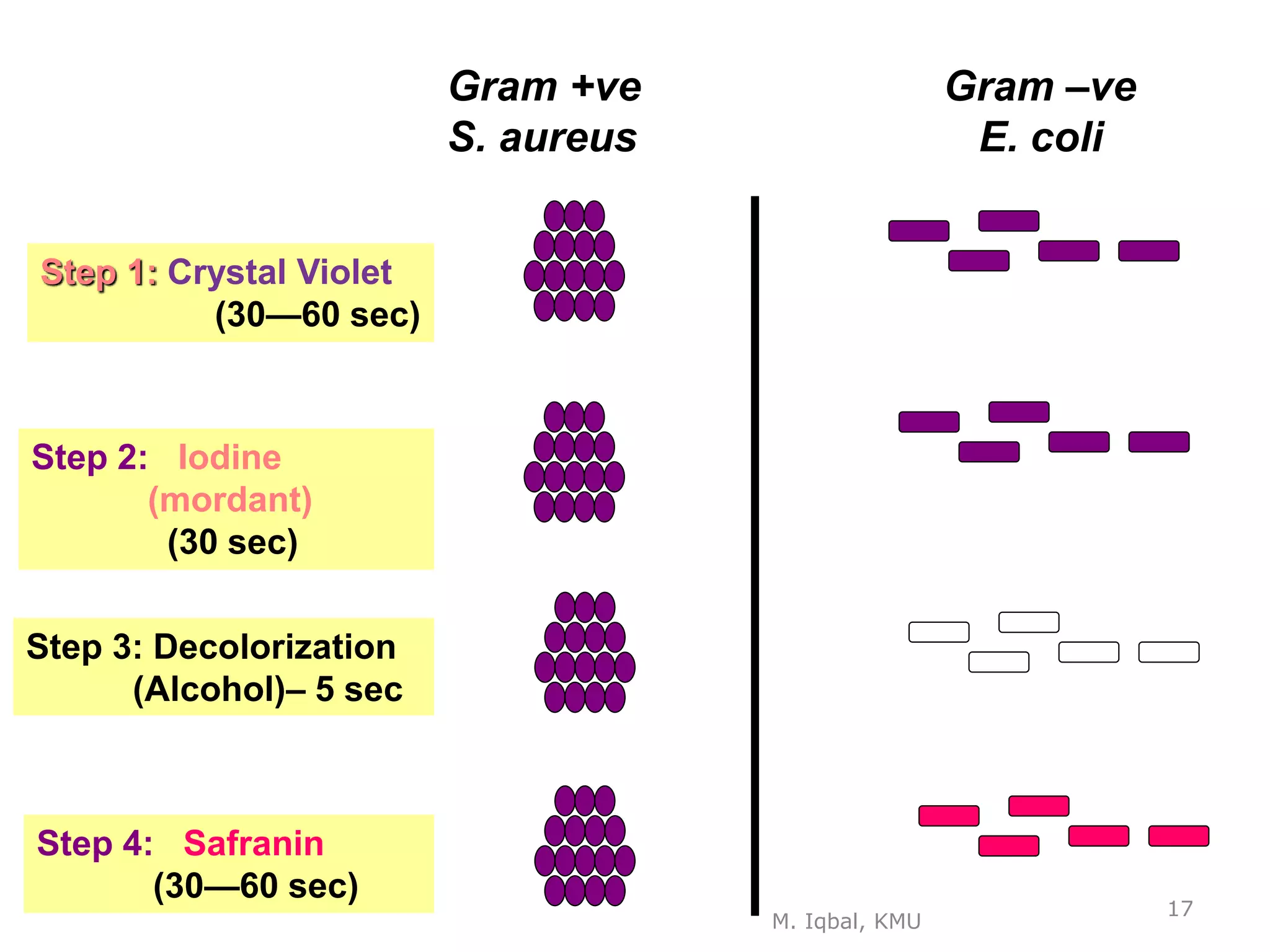 4)Microbial Control Methods Unit-II 2.pptx