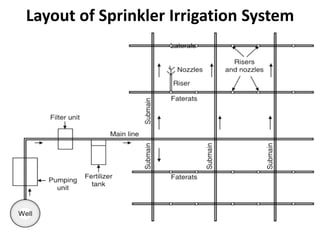 Layout of Sprinkler Irrigation System
 