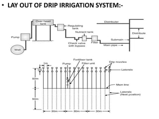 .
• LAY OUT OF DRIP IRRIGATION SYSTEM:-
 