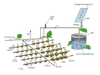  minor and micro irrigation