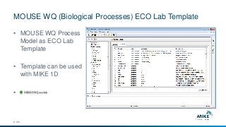 MOUSE WQ (Biological Processes) ECO Lab Template
© DHI
• MOUSE WQ Process
Model as ECO Lab
Template
• Template can be used
with MIKE 1D
• .
 