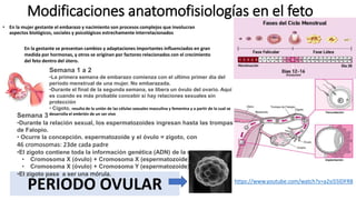 Modificaciones anatomofisiologías en el feto
• En la mujer gestante el embarazo y nacimiento son procesos complejos que in...