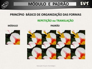 Módulo Padrão