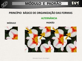 Módulo Padrão