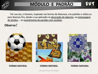 Módulo Padrão