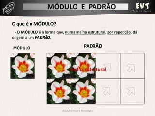 Módulo Padrão