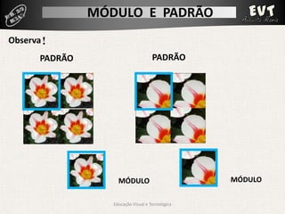 Módulo Padrão
