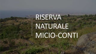 RISERVA
NATURALE
MICIO-CONTI
 